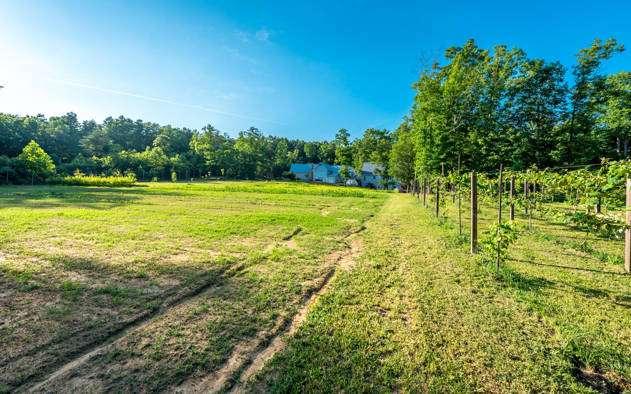 370 Caldwell Road Coalmont, TN 37313 - Photo 65 of 97 DSC_0489