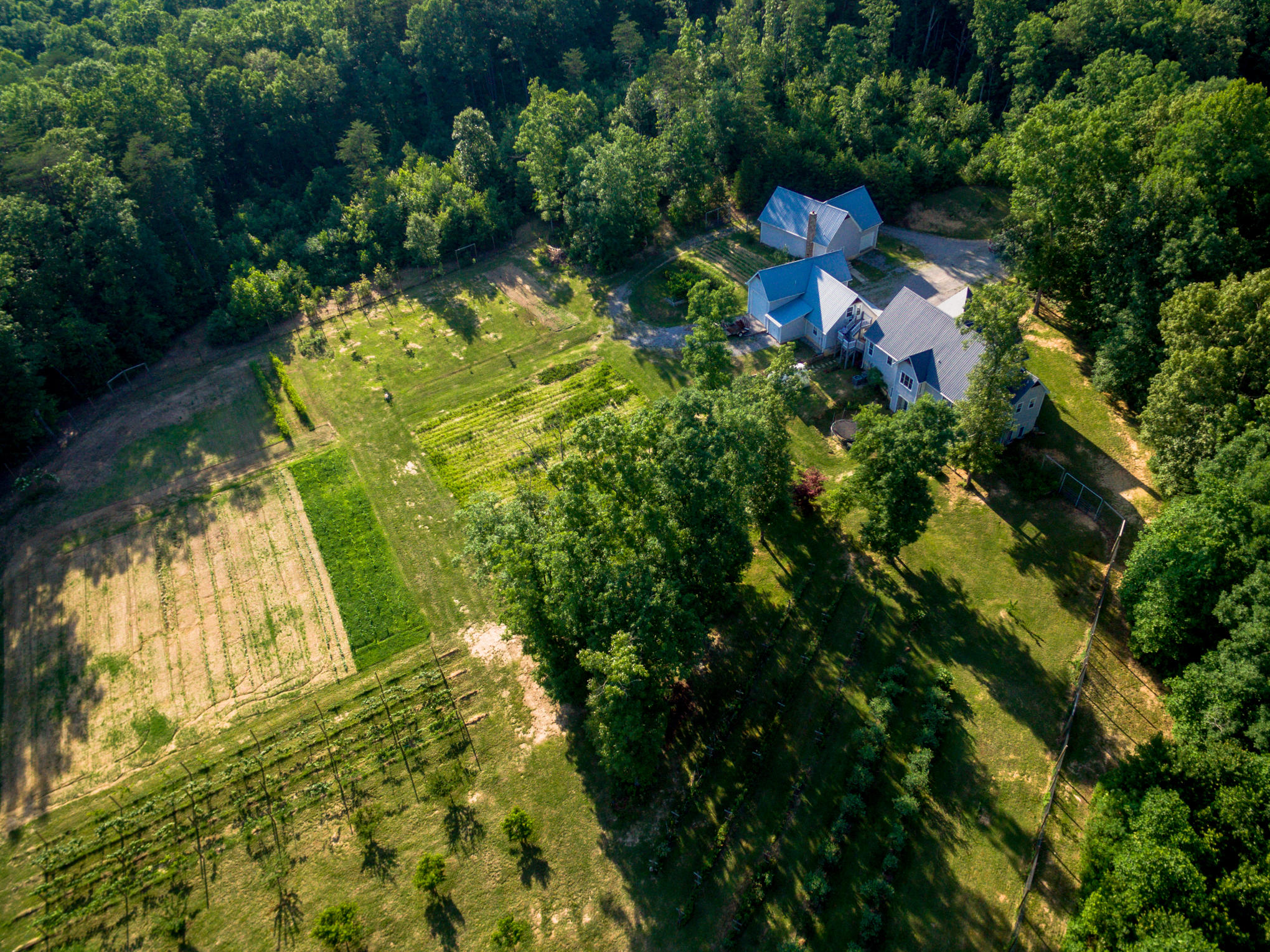 370 Caldwell Road Coalmont, TN 37313 - Photo 85 of 97 DJI_0106