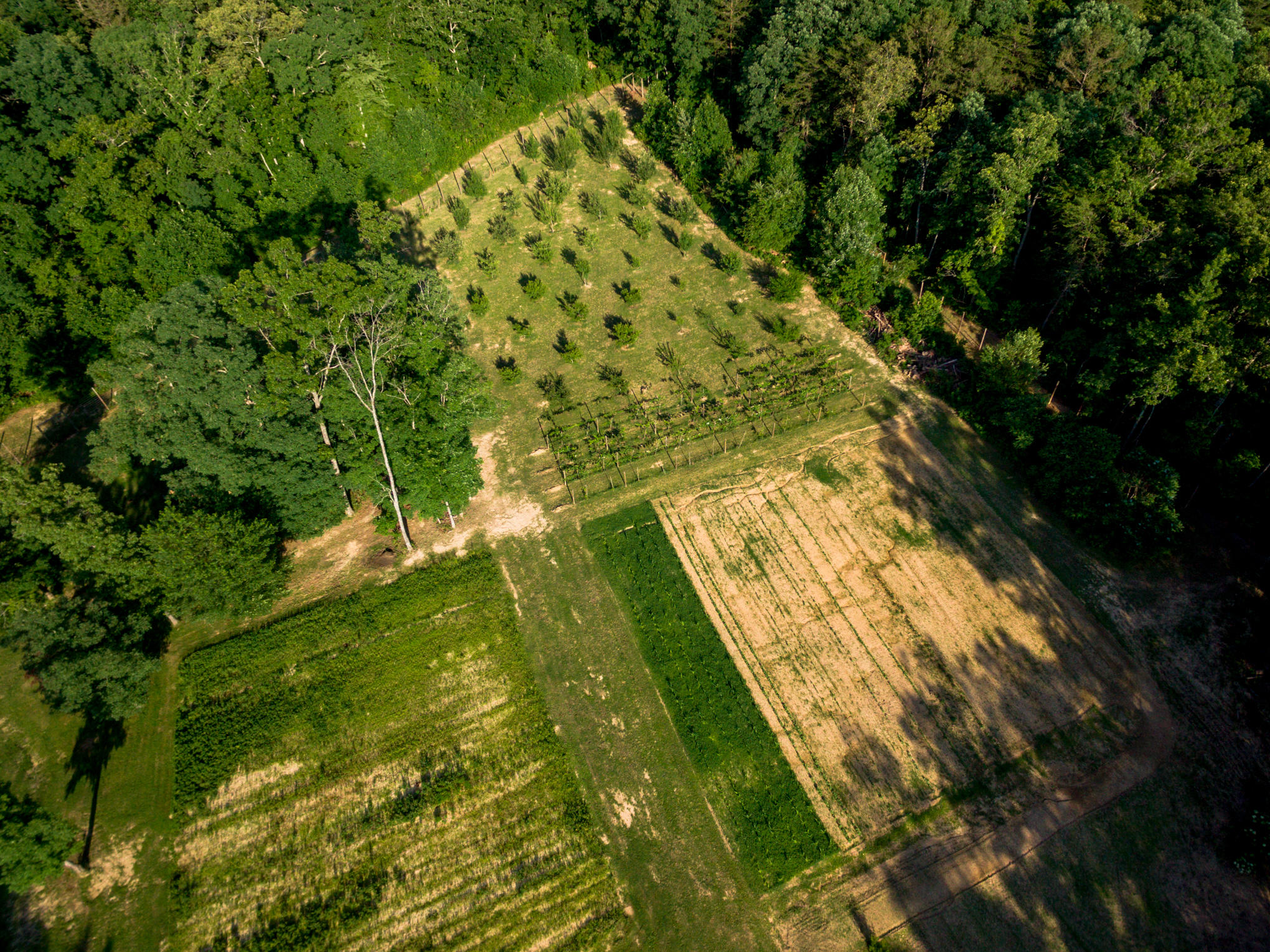 370 Caldwell Road Coalmont, TN 37313 - Photo 86 of 97 DJI_0113