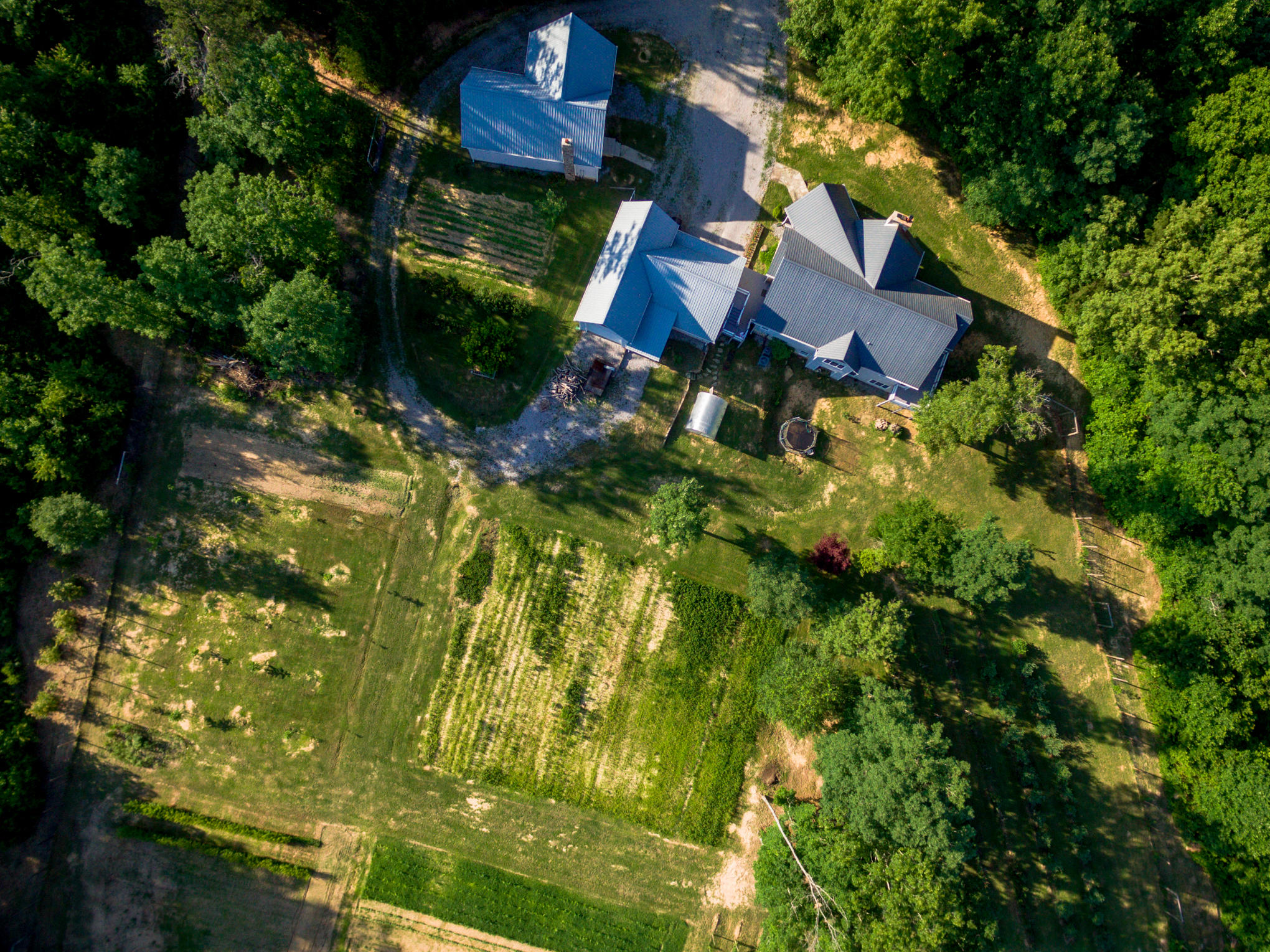 370 Caldwell Road Coalmont, TN 37313 - Photo 87 of 97 DJI_0114