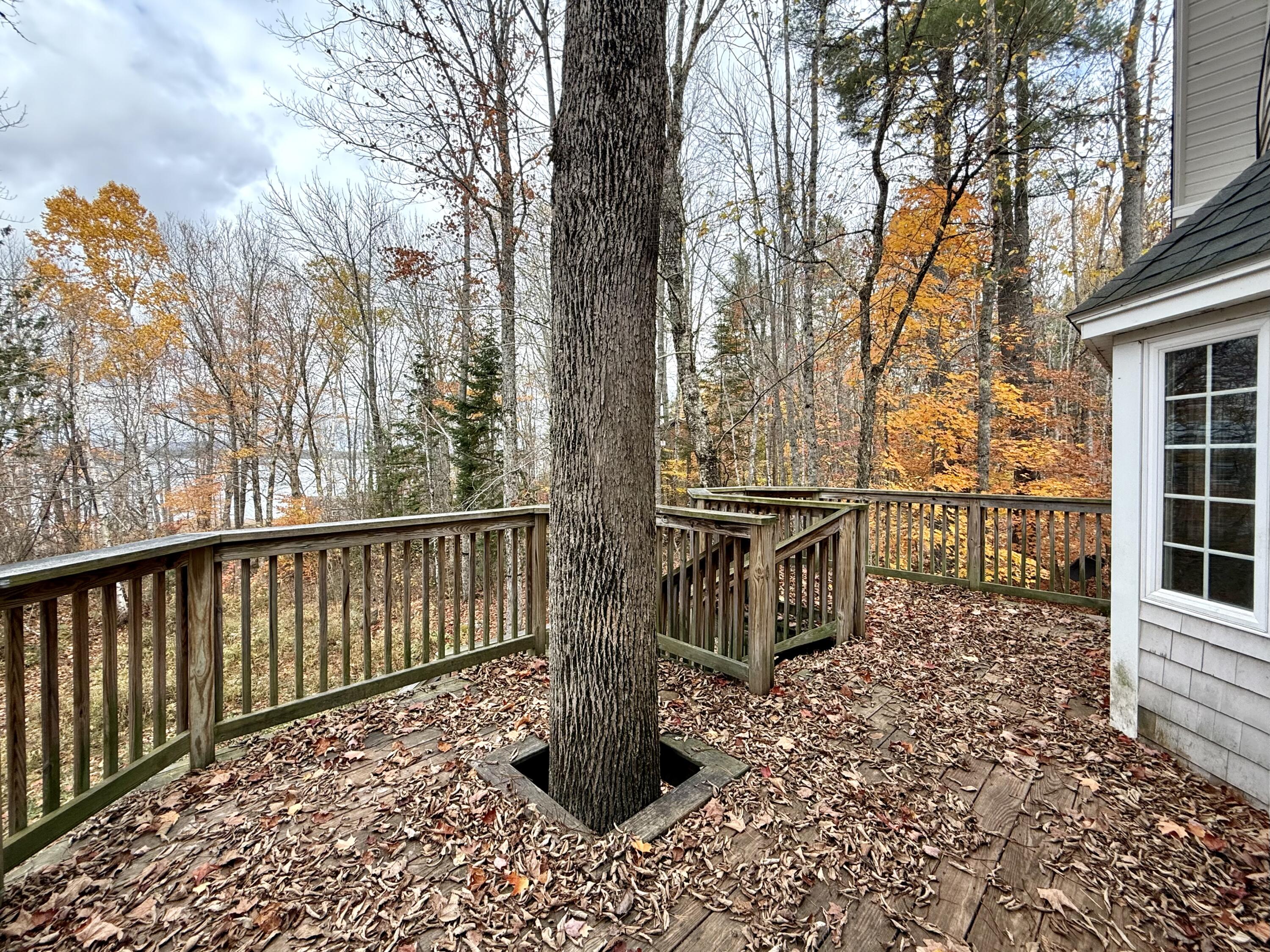 22 Pine Tree Shore Alexander, ME 04694 - Photo 21 of 54 16