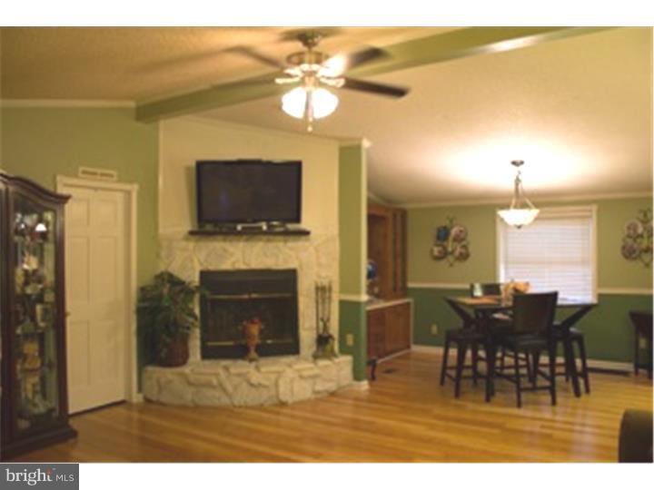 440 Ranee Loop Bear, DE 19701 - Photo 3 of 13 Fireplace