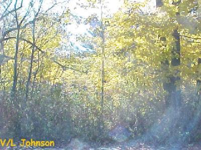 Johnson Road Muskegon, MI 49445 - Photo 1 of 1 Primary Photo