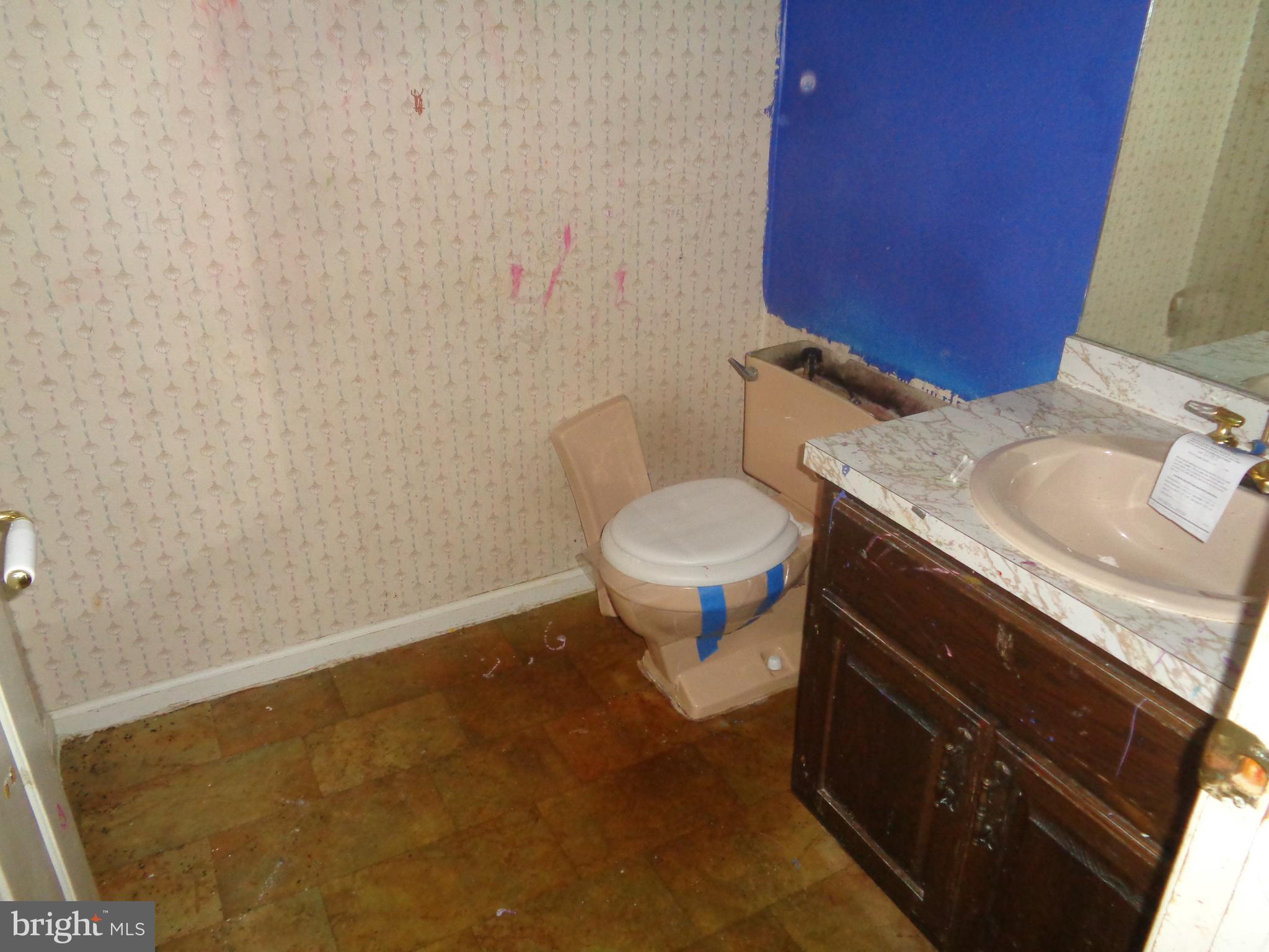 28 Carriage Road Palmyra, PA 17078 - Photo 6 of 18 Powder Room