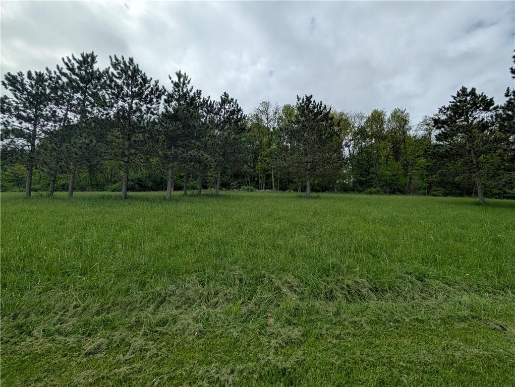 131 Old Rte 422 Worthington, PA 16262 - Photo 11 of 40 Some Wooded Acreage