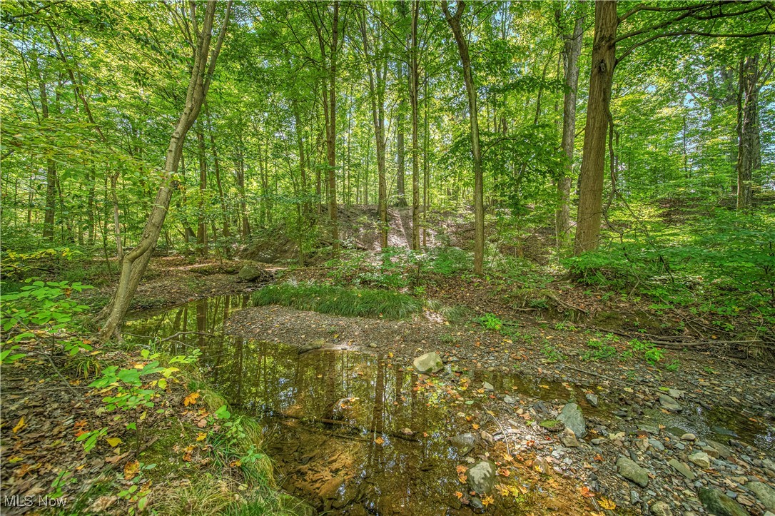 7285 Chagrin Road Chagrin Falls, OH 44023 - Photo 3 of 50 Creek!