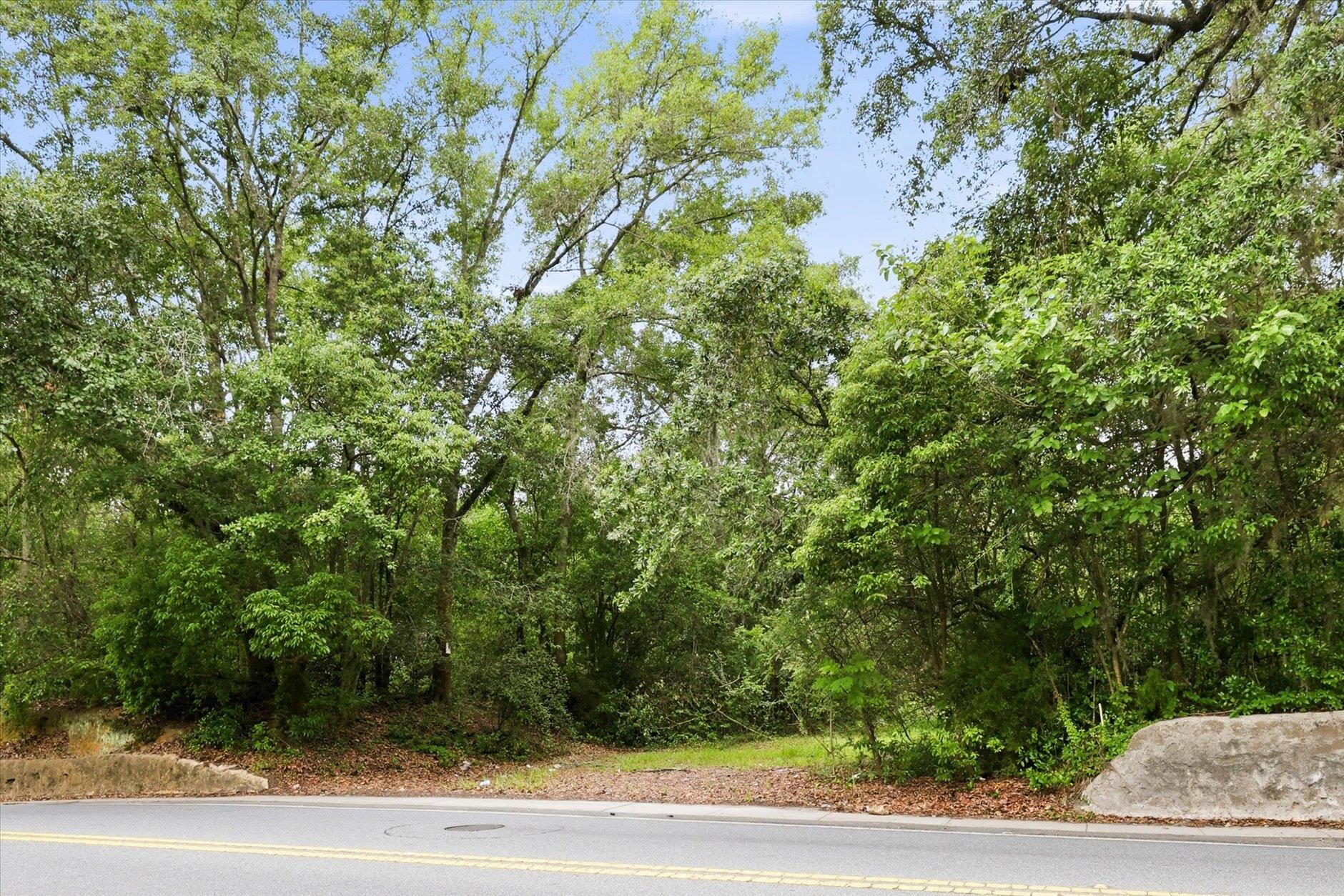 1612 Old Bainbridge Road Tallahassee, FL 32303 - Photo 6 of 43