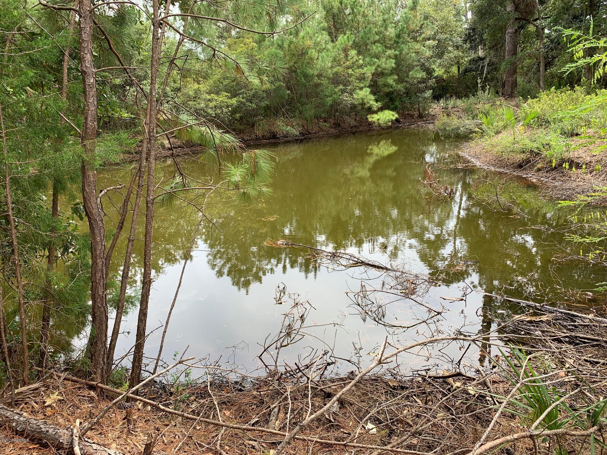 Pond 2