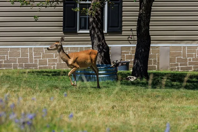 $398,000 | 429 Spanish Oak Trail, Harper, TX 78631