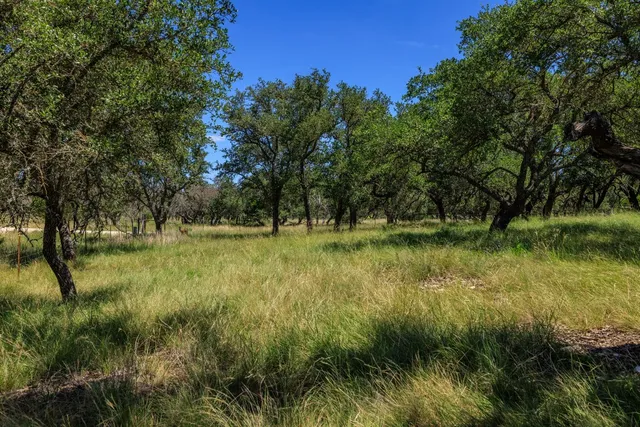 a view of outdoor space with a garden
