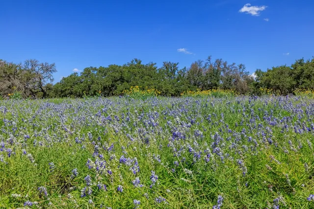 $398,000 | 429 Spanish Oak Trail, Harper, TX 78631