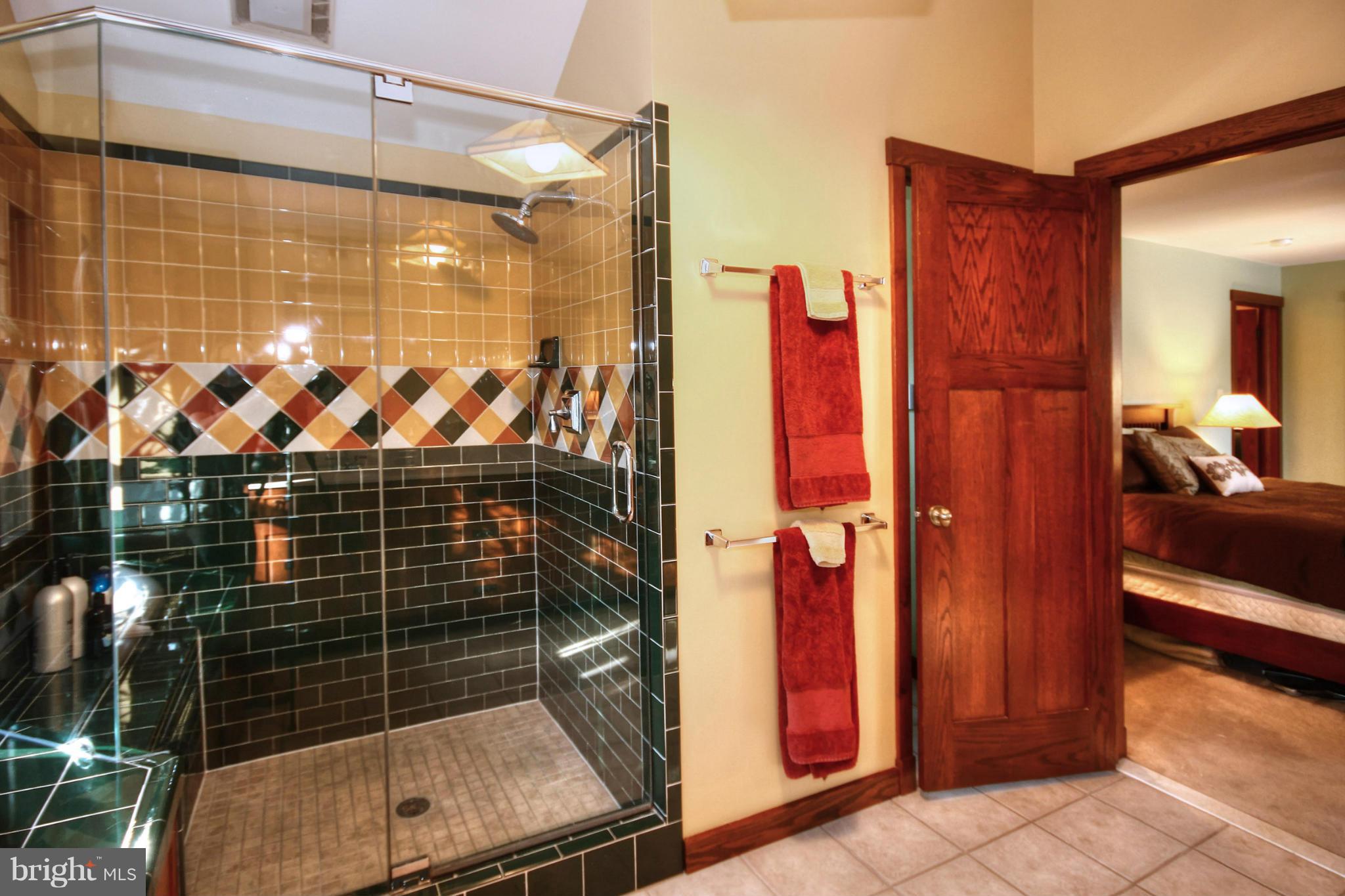 605 Clear Spring Road Great Falls, VA 22066 - Photo 20 of 30 Bath (Master)
