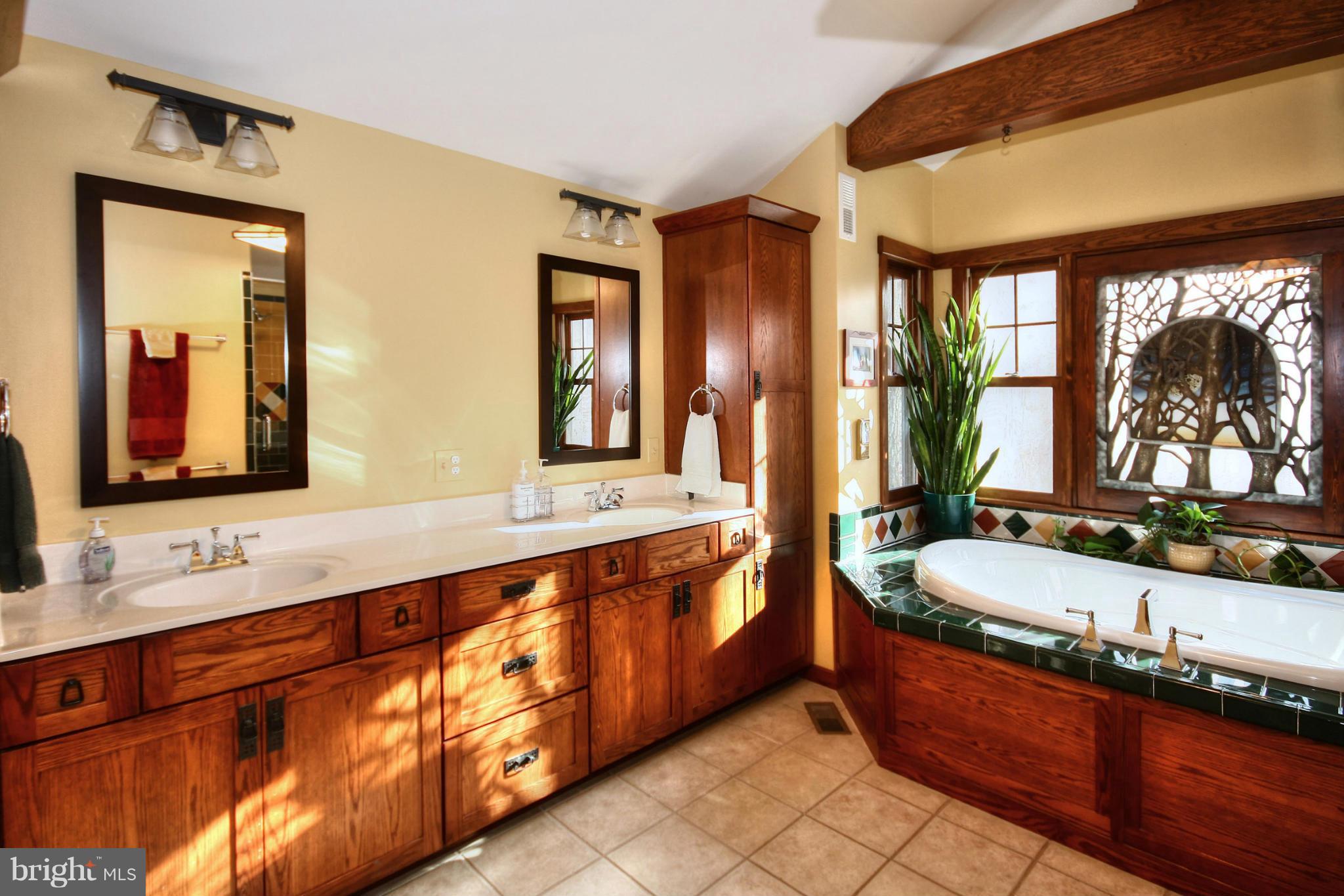 605 Clear Spring Road Great Falls, VA 22066 - Photo 21 of 30 Bath (Master)