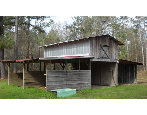 2427 Perkinston-Silver Run Road Perkinston, MS 39573 - Photo 2 of 11 Additional Photo