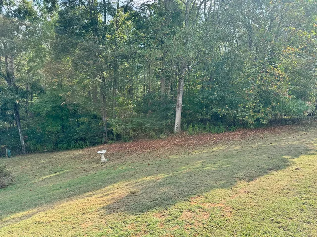 a backyard of a house with lots of green space