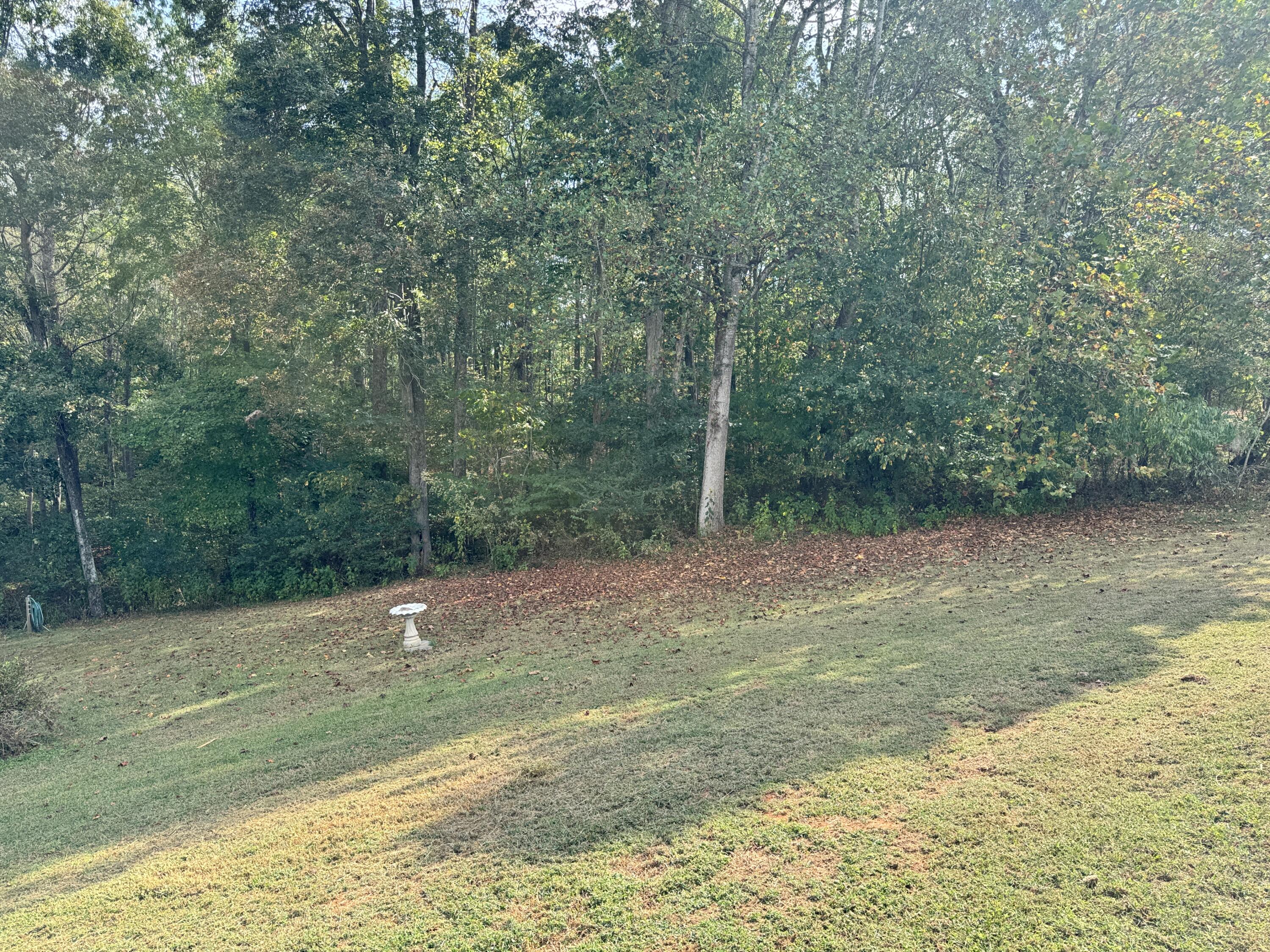 480 Glade Creek Road Glade Hill, VA 24092 - Photo 4 of 14 a backyard of a house with lots of green space