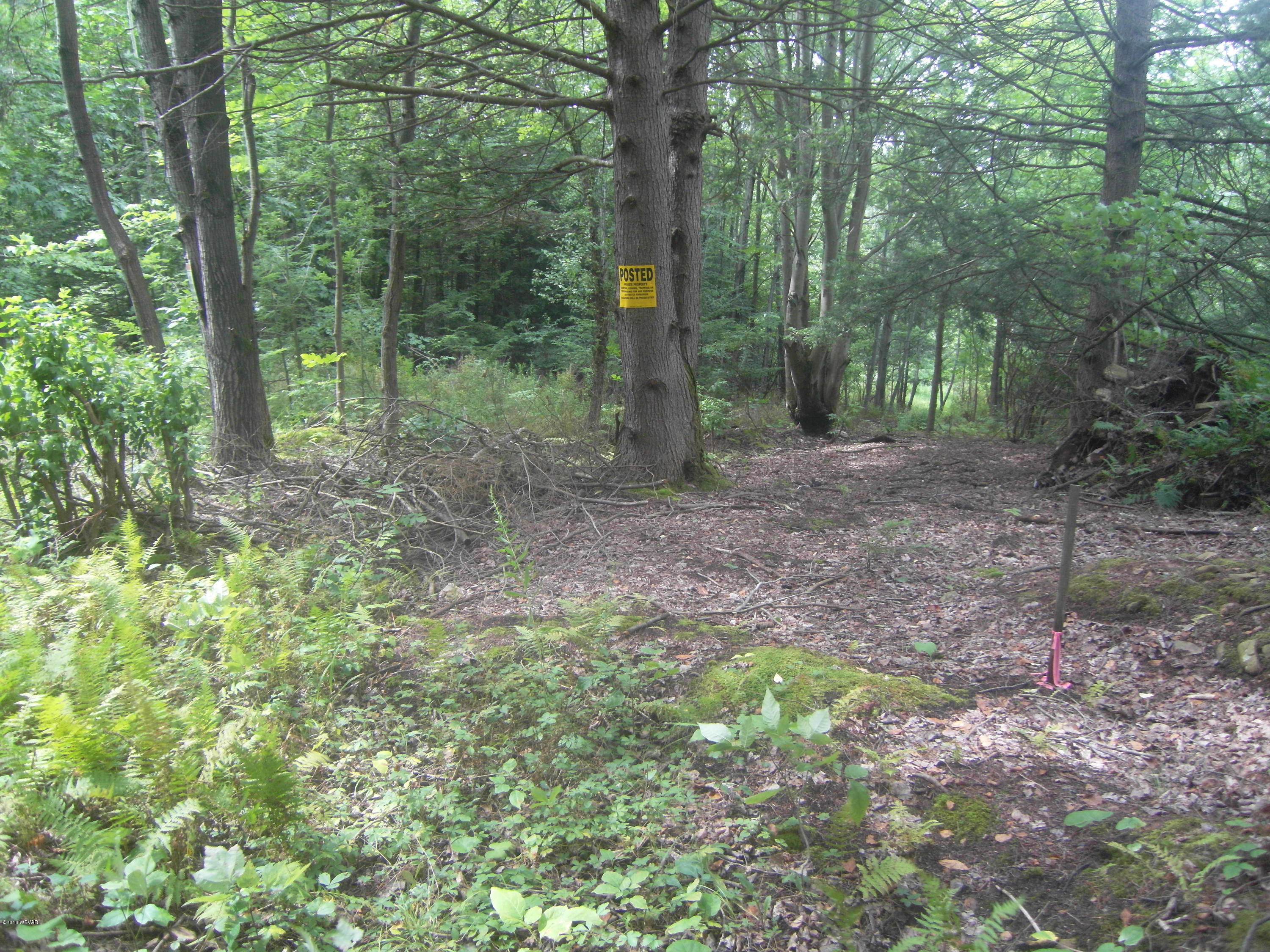 0 Old Farm Road Muncy Valley, PA 17758 - Photo 12 of 12 SDC14566