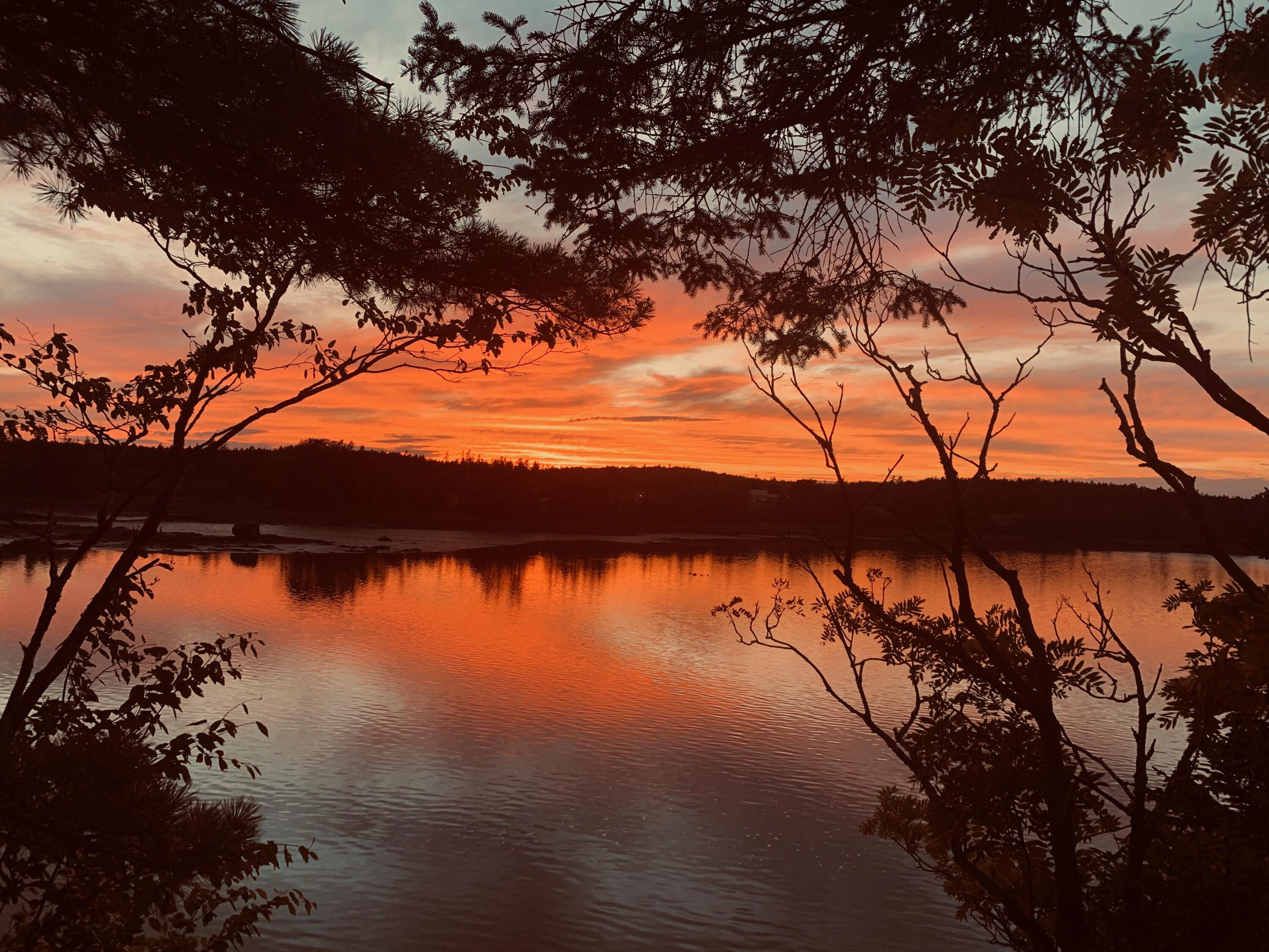 31 Luna Lane Lubec, ME 04652 - Photo 1 of 16 IMG_2408