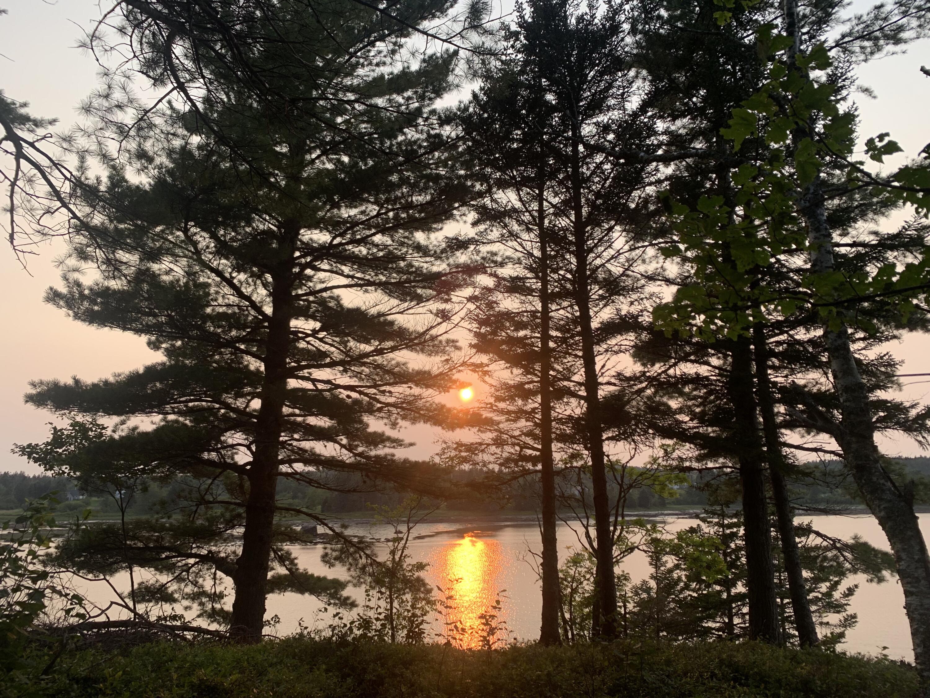 31 Luna Lane Lubec, ME 04652 - Photo 11 of 16 IMG_4541