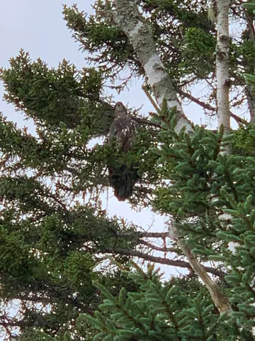 $130,000 | 31 Luna Lane, Lubec, ME 04652