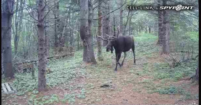 $130,000 | 31 Luna Lane, Lubec, ME 04652