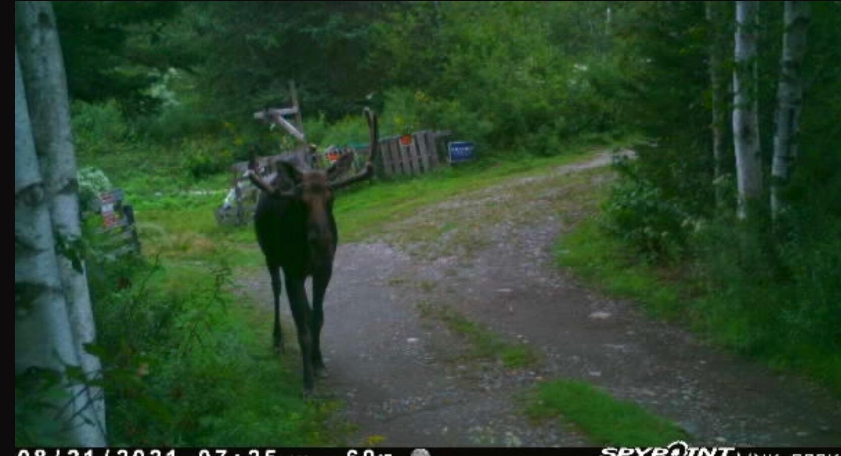 31 Luna Lane Lubec, ME 04652 - Photo 15 of 16 IMG_4740