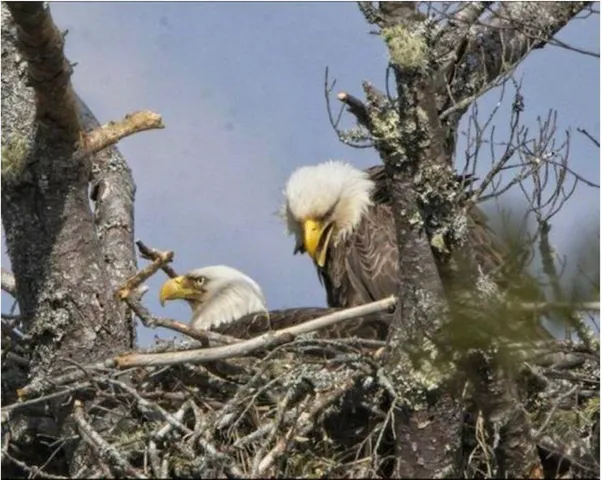 $130,000 | 31 Luna Lane, Lubec, ME 04652