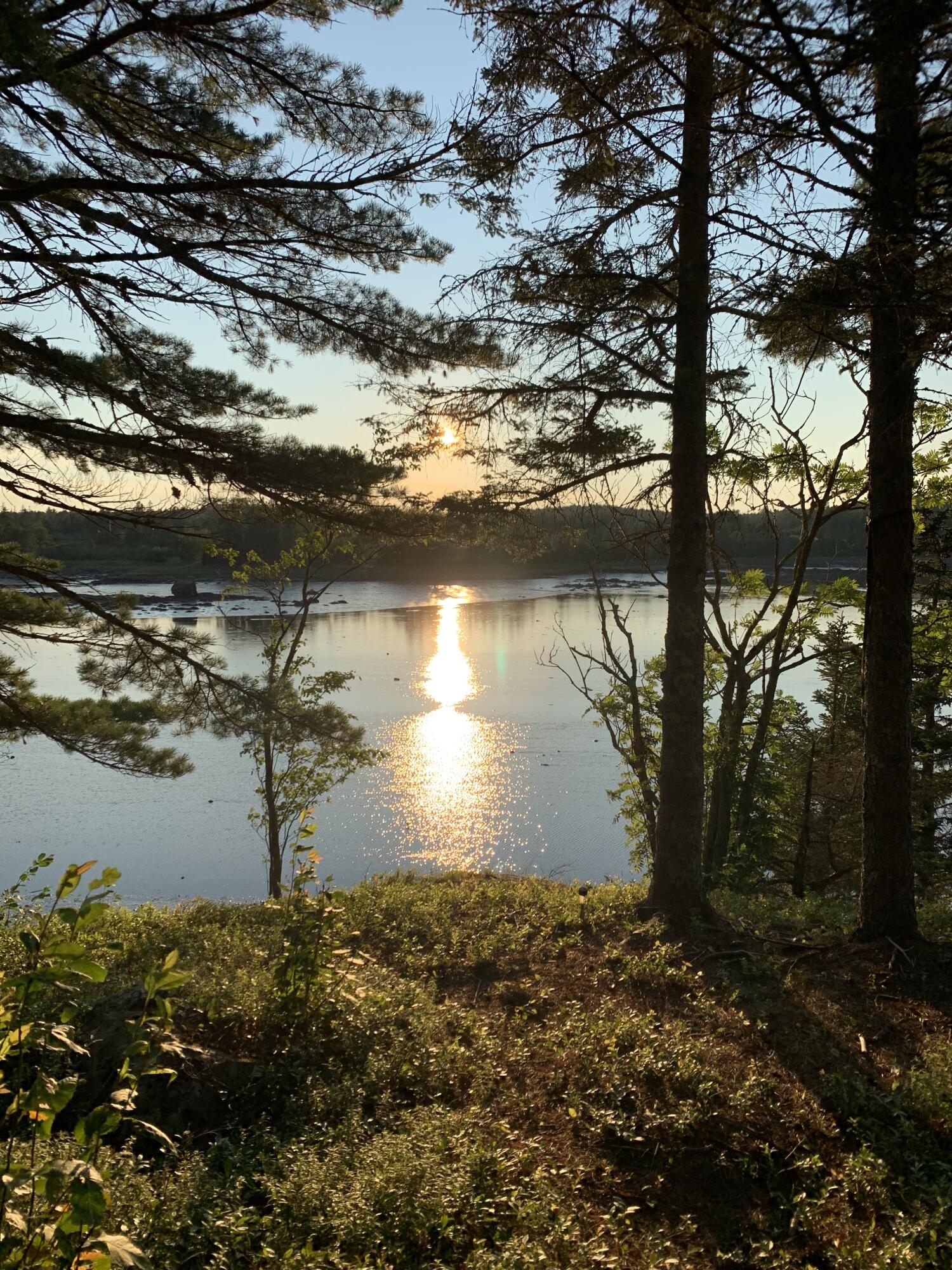 31 Luna Lane Lubec, ME 04652 - Photo 3 of 16 IMG_4513