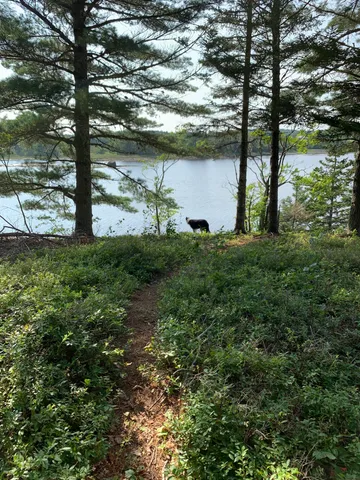 $130,000 | 31 Luna Lane, Lubec, ME 04652