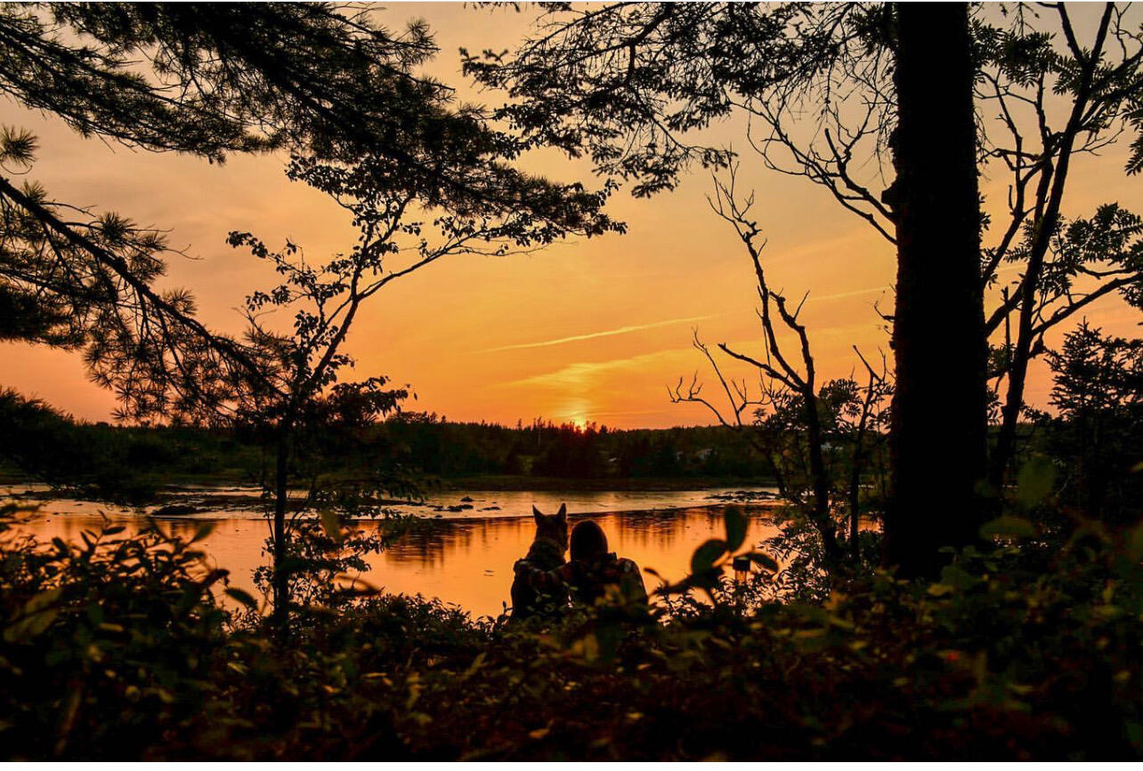 31 Luna Lane Lubec, ME 04652 - Photo 7 of 16 IMG_4891