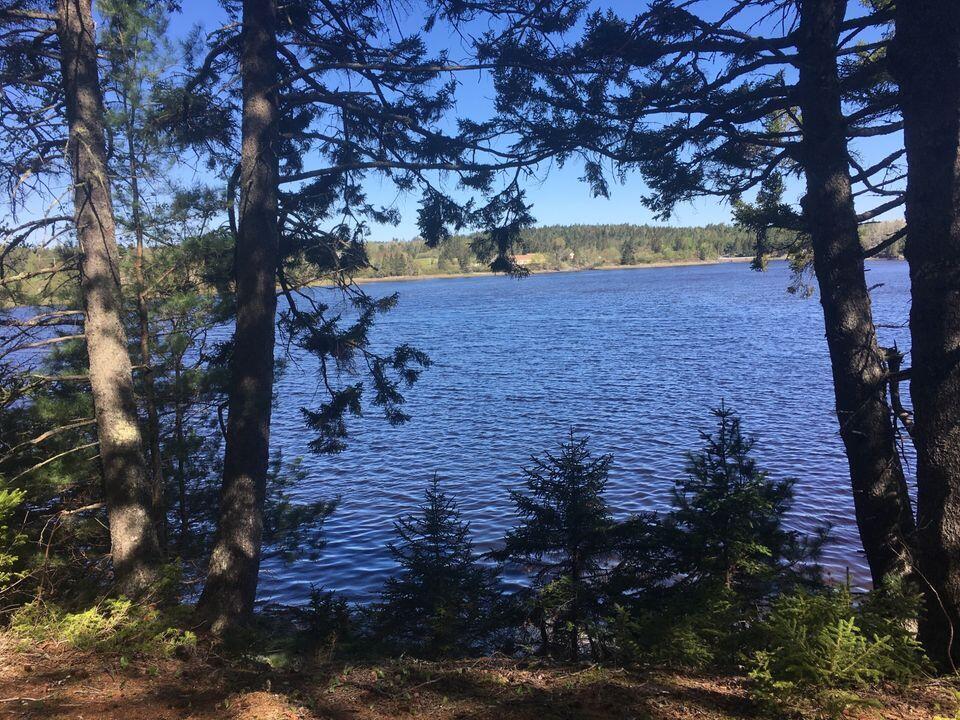 31 Luna Lane Lubec, ME 04652 - Photo 8 of 16 414185369_7025716667465071_8535391614309