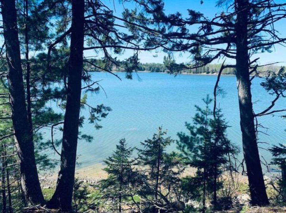 31 Luna Lane Lubec, ME 04652 - Photo 9 of 16 412518689_6952830664833084_1084428156335