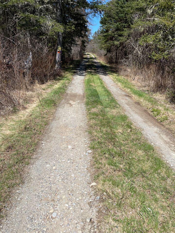 31 Luna Lane Lubec, ME 04652 - Photo 10 of 16 417404757_6937139019740352_4027564706340