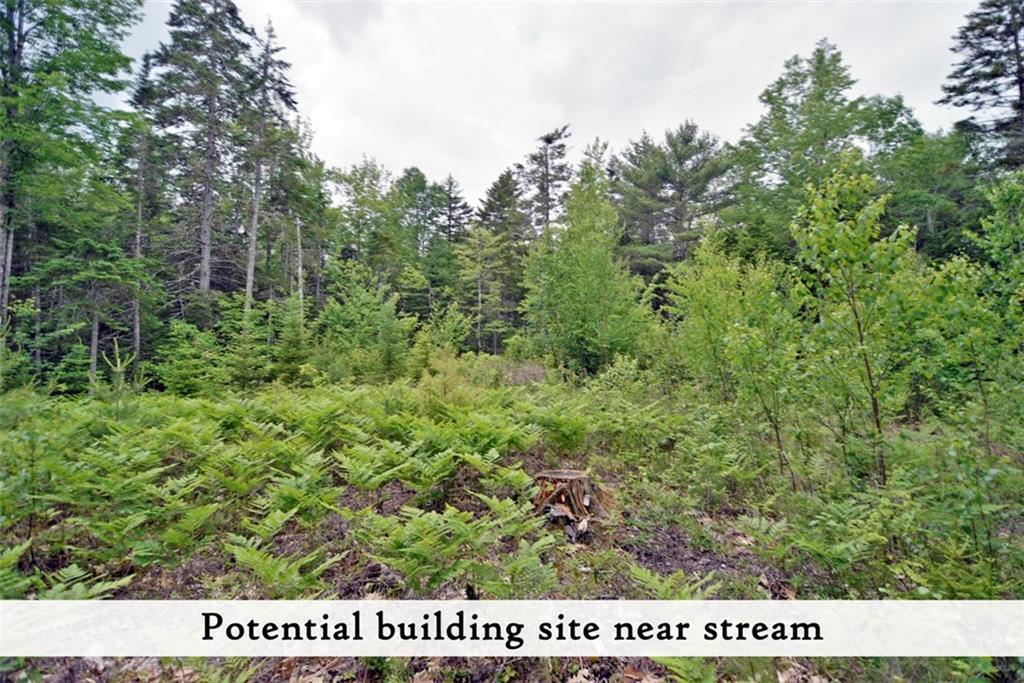 113 Red Bridge Road Ellsworth, ME 04605 - Photo 17 of 29 Photo