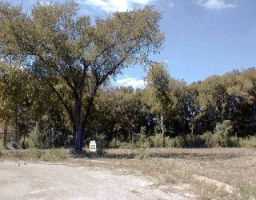 13 Robin Road Elgin, TX 78621 - Photo 1 of 1 a view of outdoor space with trees