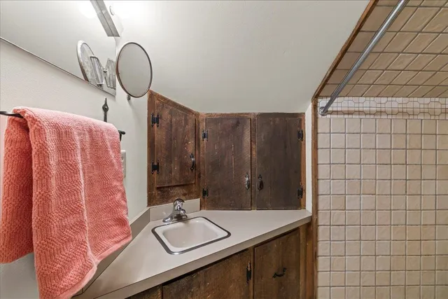a bathroom with a shower and a sink