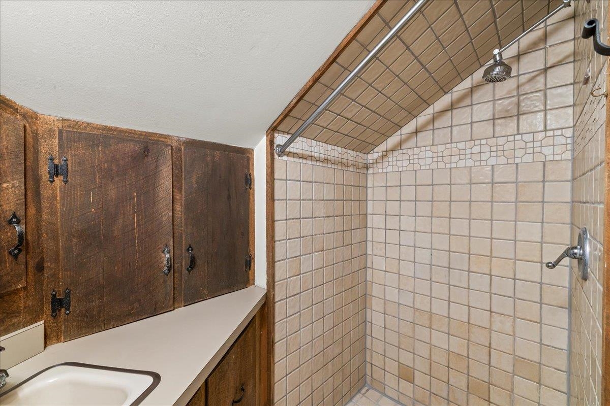 6614 Middlebrook Road Raphine, VA 24472 - Photo 39 of 52 a bathroom with a shower and a sink