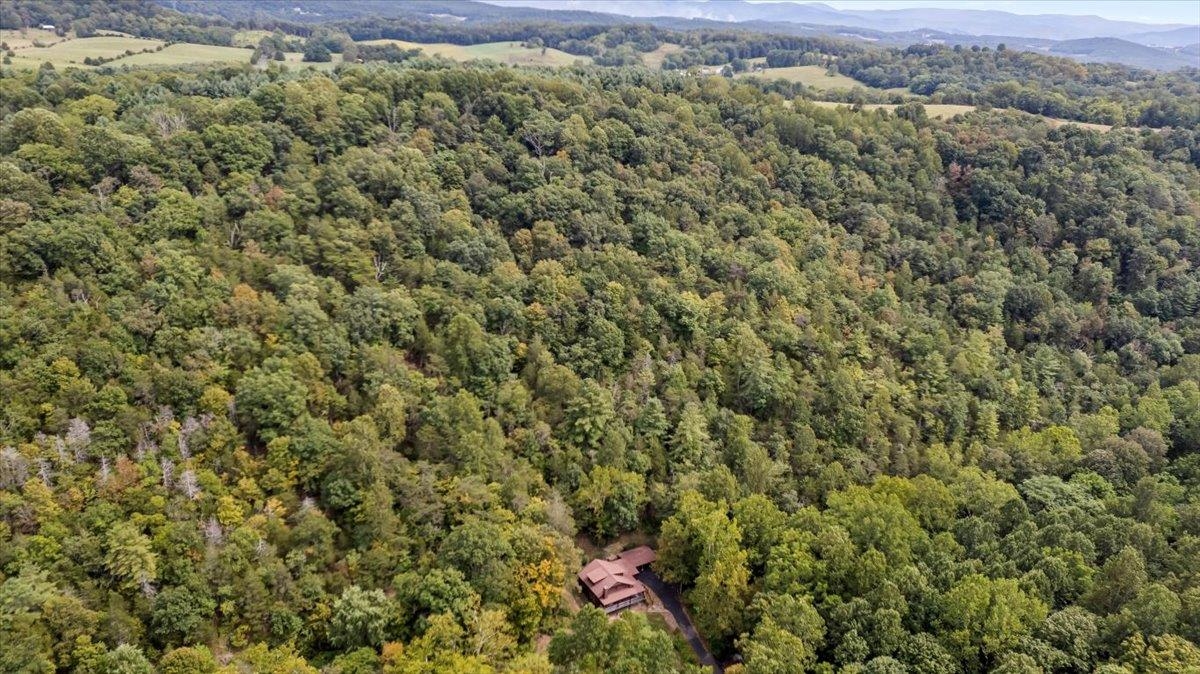 6614 Middlebrook Road Raphine, VA 24472 - Photo 45 of 52 a view of a forest with an outdoor space