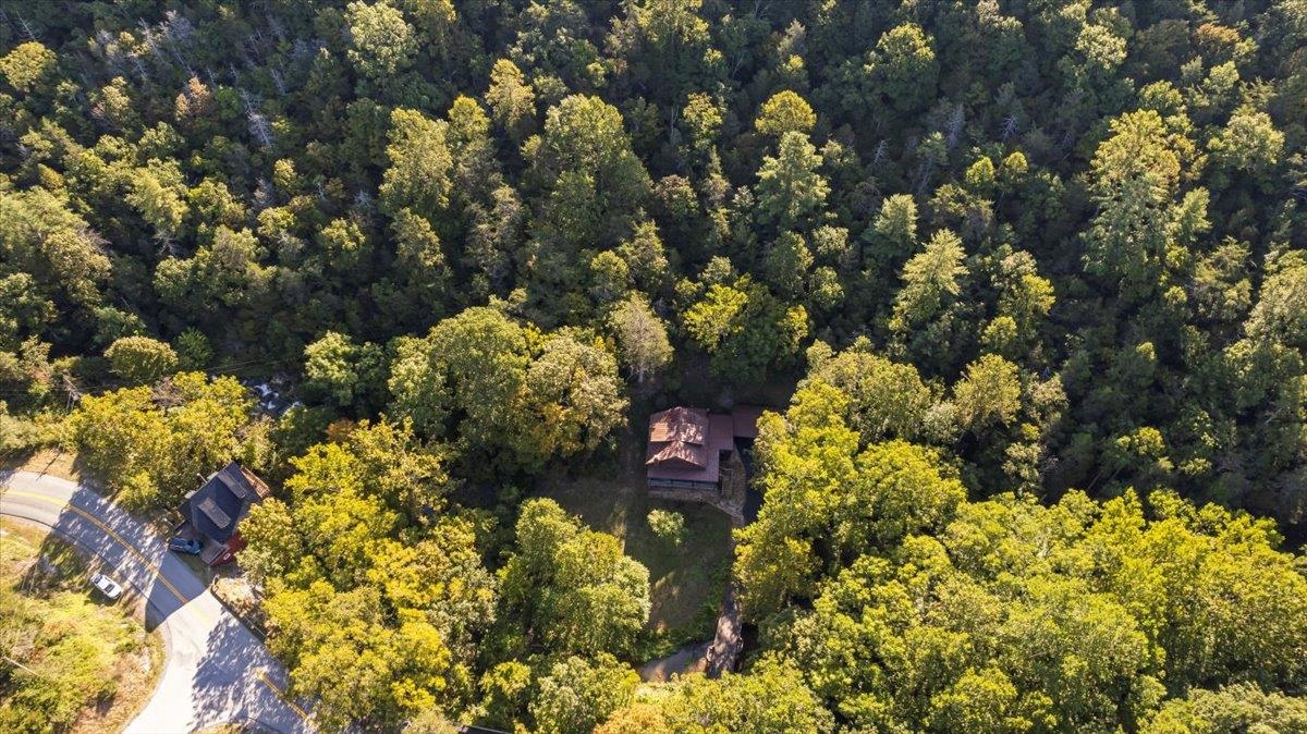 6614 Middlebrook Road Raphine, VA 24472 - Photo 47 of 52 a picture of flowers