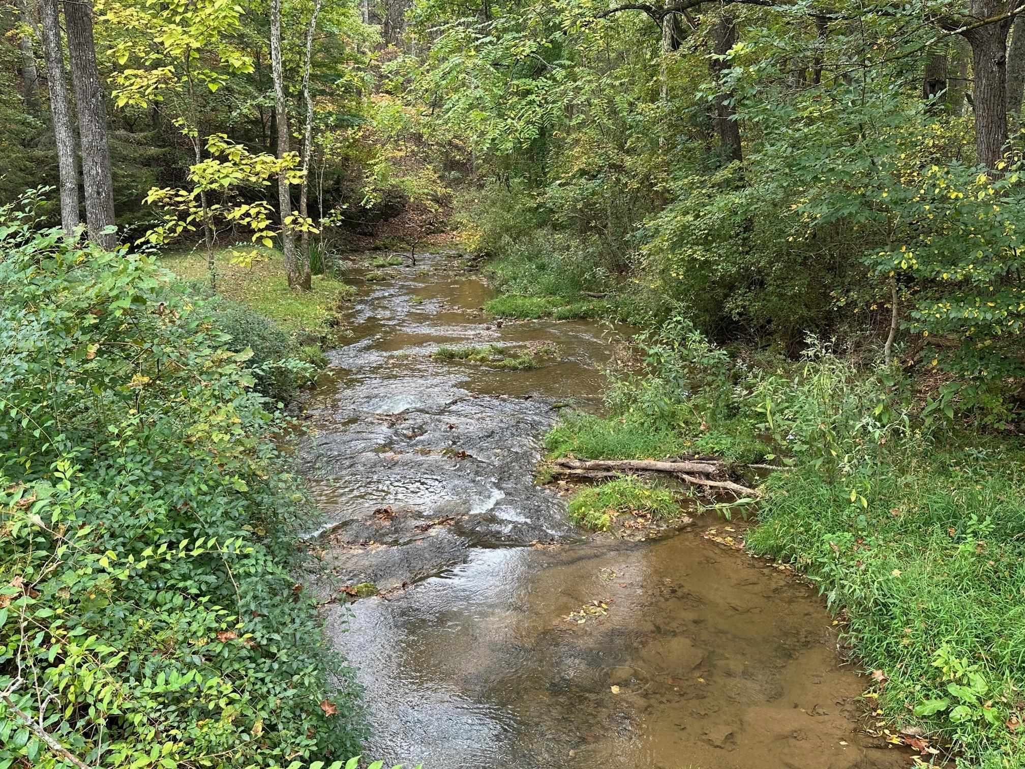 6614 Middlebrook Road Raphine, VA 24472 - Photo 48 of 52 a view of outdoor space and yard