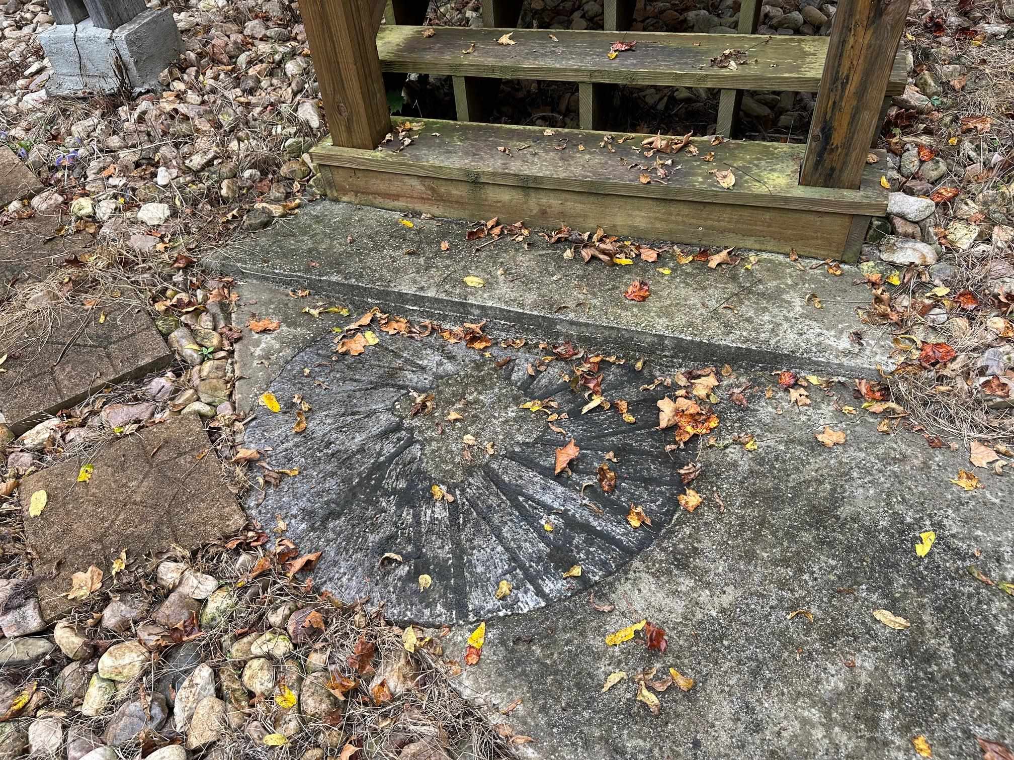 6614 Middlebrook Road Raphine, VA 24472 - Photo 49 of 52 a picture of a tree