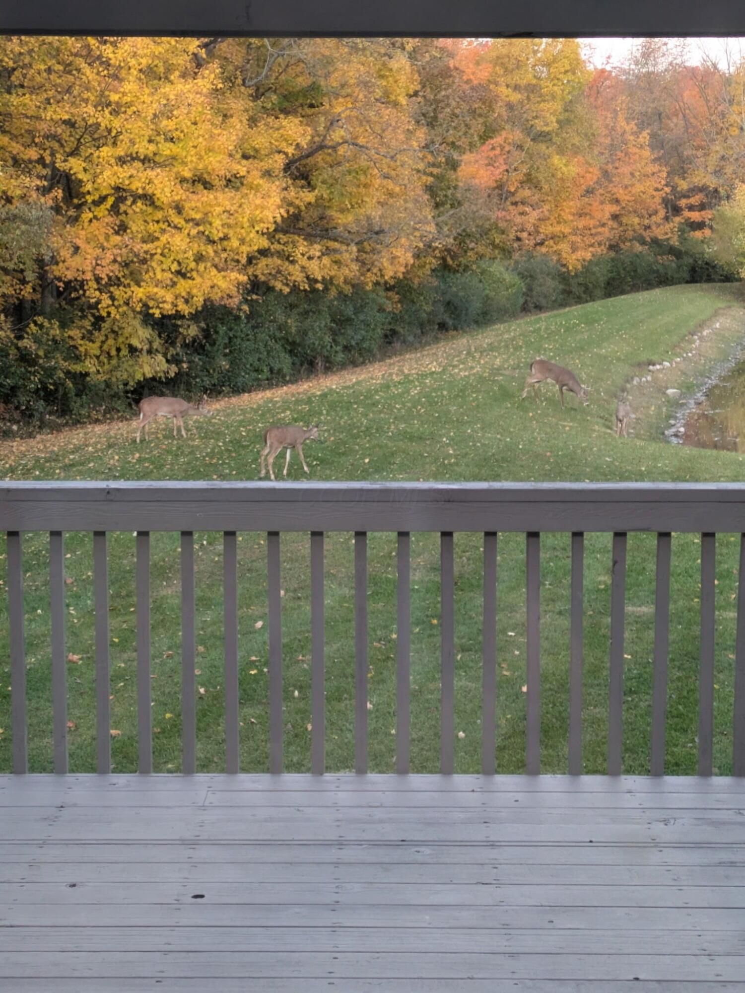 1525 Cole Road Columbus, OH 43228 - Photo 83 of 92