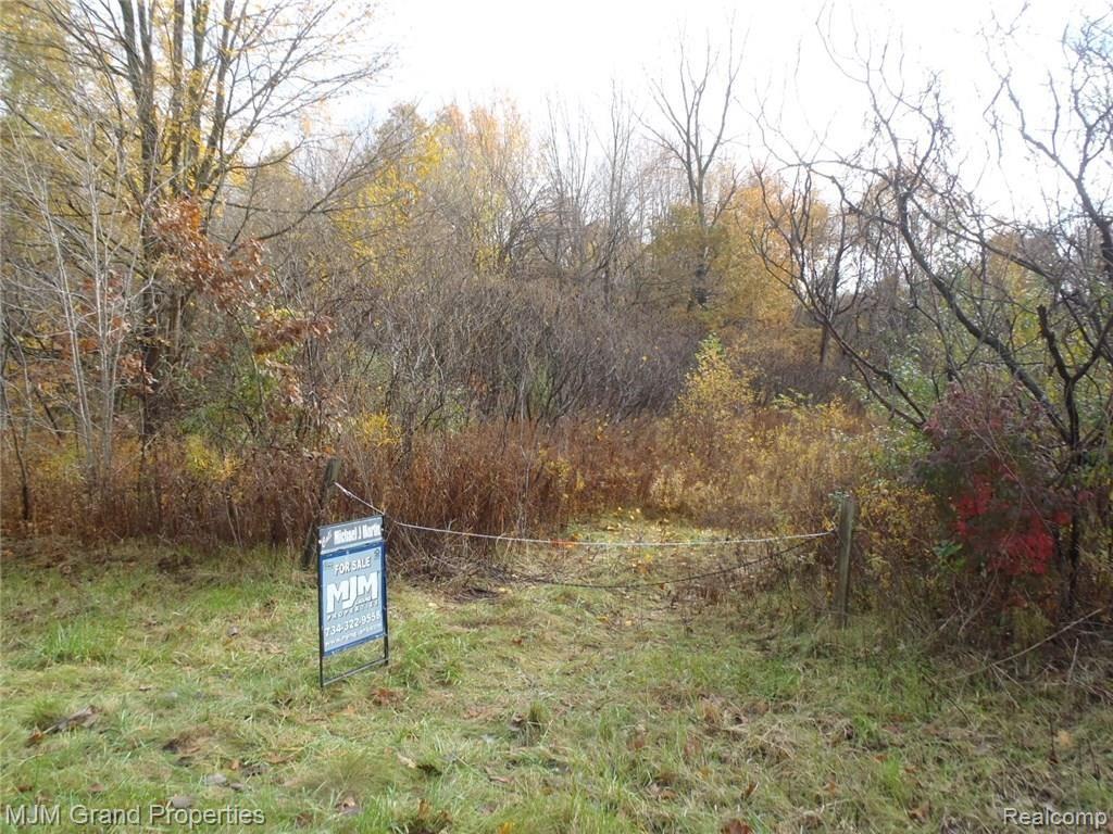 Vacant Tuttle Hill Road Milan, MI 48160 - Photo 1 of 6