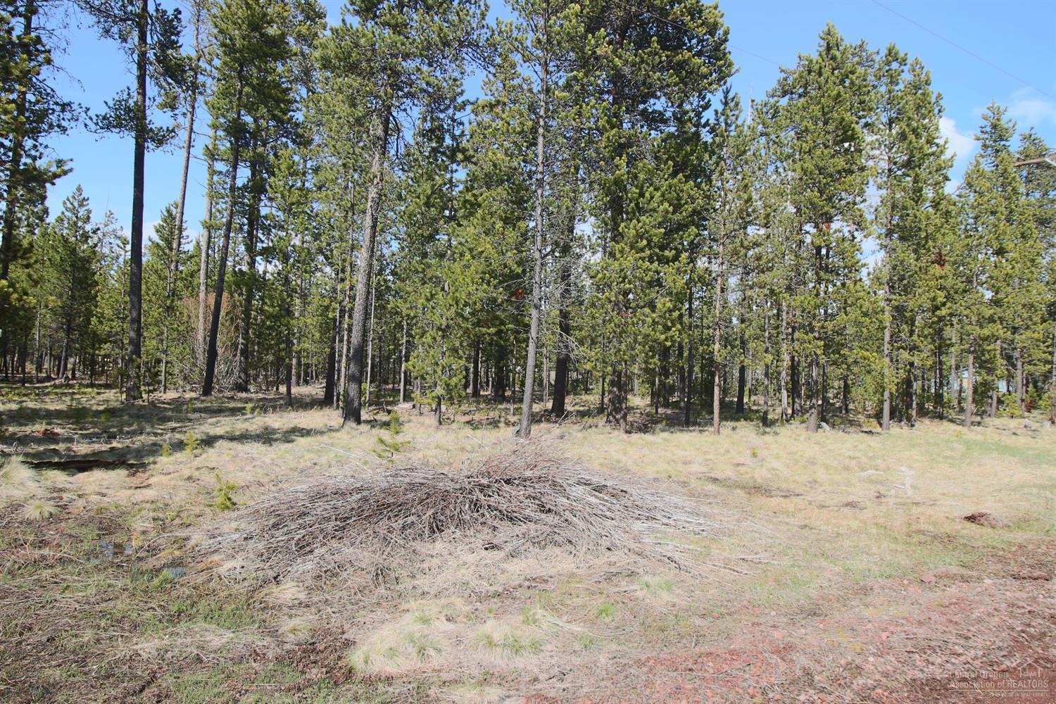 17164 Indio Road Bend, OR 97707 - Photo 6 of 6 Additional Photo