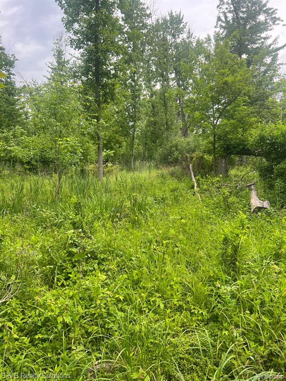 0 Ducker Road Marlette, MI 48453 - Photo 15 of 44