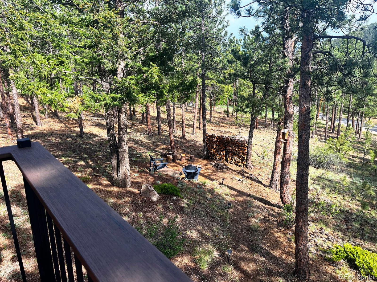 84 Marys Lane Bailey, CO 80421 - Photo 27 of 35