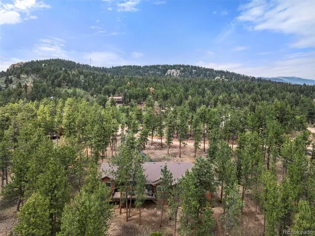 $699,000 | 84 Marys Lane, Bailey, CO 80421