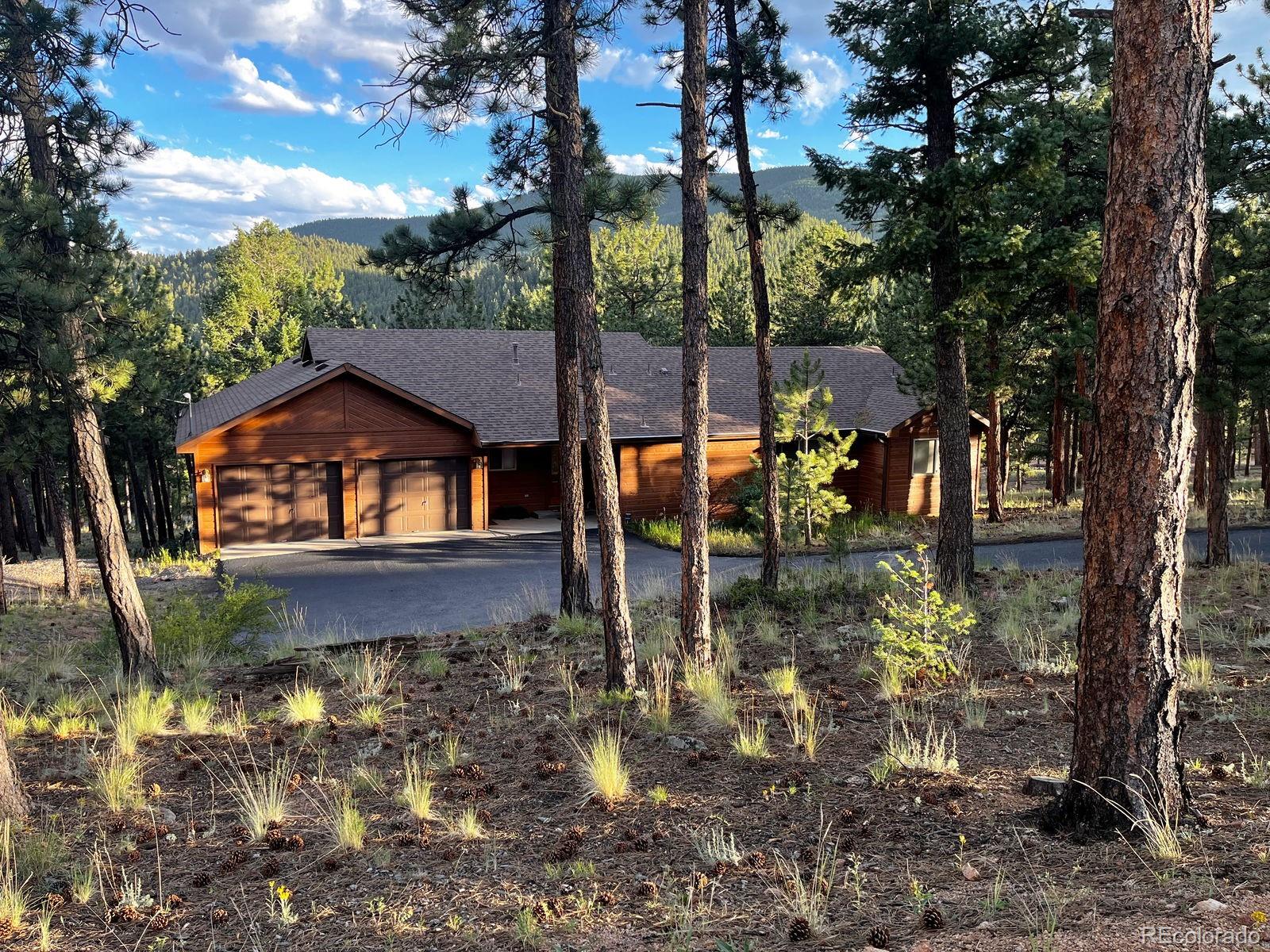 84 Marys Lane Bailey, CO 80421 - Photo 3 of 35