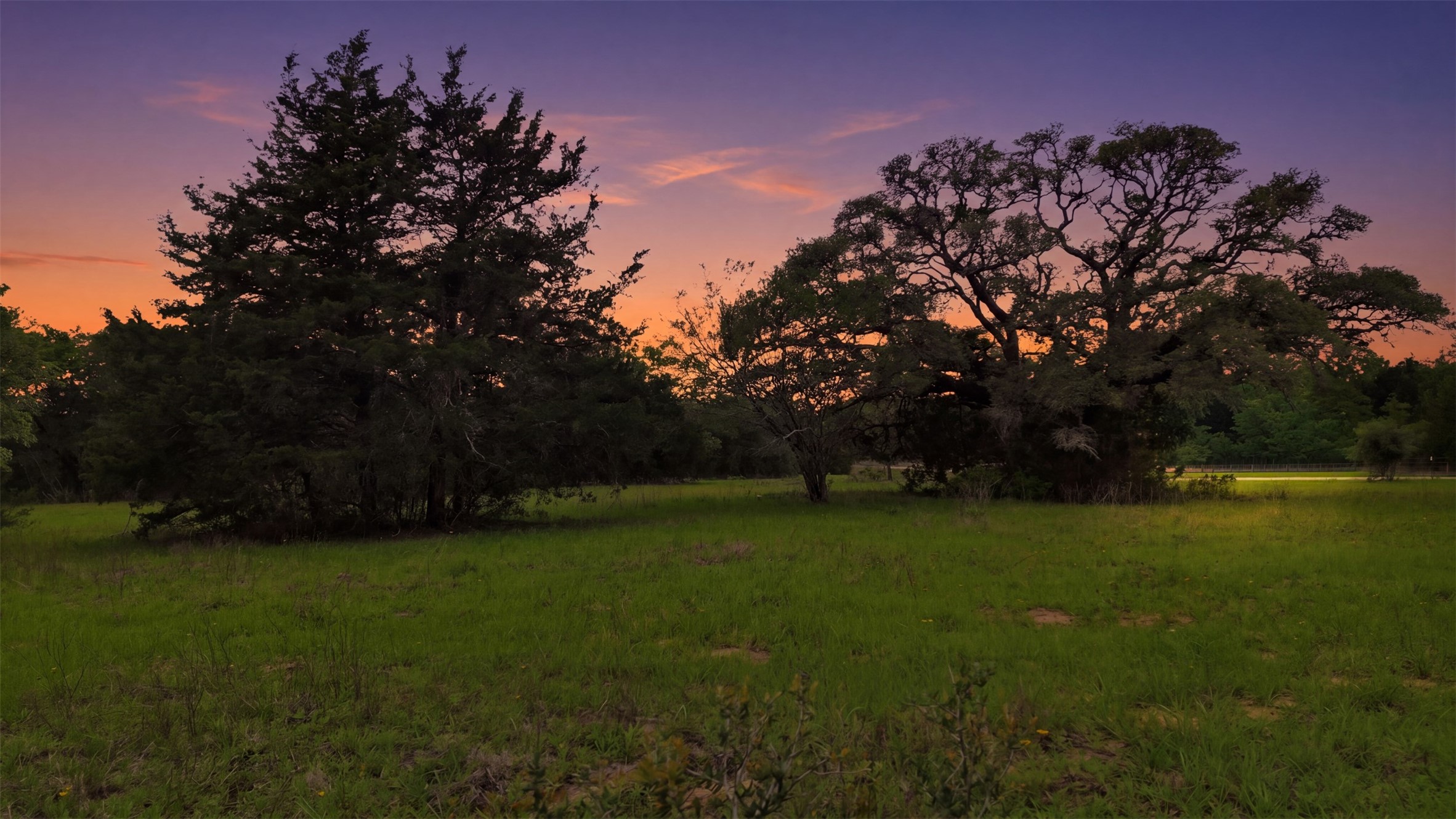 a view of a field of grass and trees