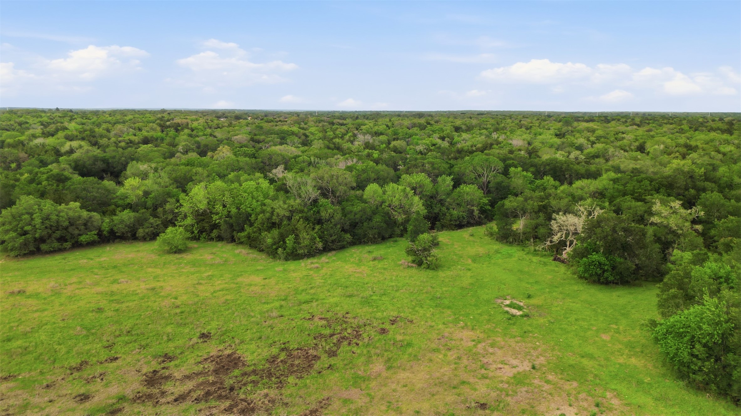 1165 Cr 213 Road Weimar, TX 78962 - Photo 11 of 50 a view of a big yard